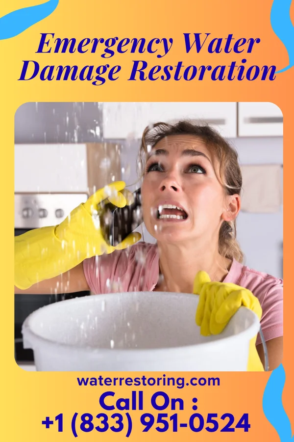 Emergency Water Damage Restoration in Romeoville, IL