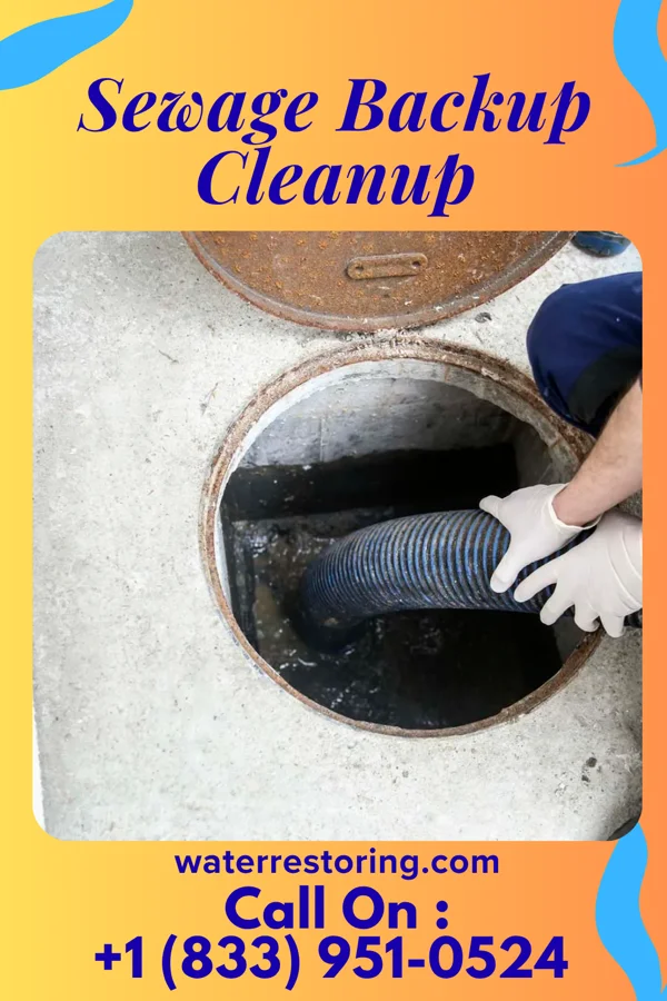 Sewage Backup Cleanup in Romeoville, IL